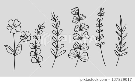 Botanical Wildflower and Minimalist Meadow Plant Floral Line Art Hand Drawn Set.Vector Illustration 137829017