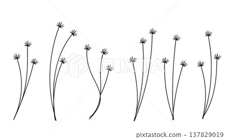 Wild Plants Hand Drawn Minimalist Floral Element Collection.Vector illustration 137829019