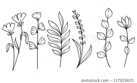 Botanical Wildflower and Minimalist Meadow Plant Floral Line Art Hand Drawn Set.Vector Illustration Botanical Wildflower and Minimalist Meadow Plant Floral Line Art Hand Drawn Set.Vector Illustration 137829025