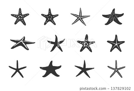 Starfish silhouette set, Starfish Svg, Starfish icon, Starfish clipart, Tropical starfish svg, Starfish vector bundle -V02. Starfish silhouette set, Starfish Svg, Starfish icon, Starfish clipart, Tropical starfish svg, Starfish vector bundle -V02. 137829102