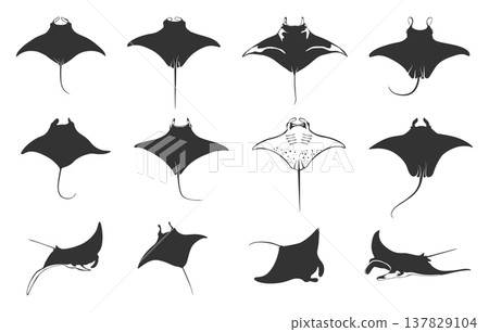 Manta ray silhouette set, Manta ray vector, Manta ray svg, Manta ray clipart, Manta ray drawing bundle -V02. Manta ray silhouette set, Manta ray vector, Manta ray svg, Manta ray clipart, Manta ray drawing bundle -V02. 137829104