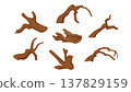 Collection of Decorative Old Wood Snags for Aquarium, Terrarium, Home Staging and Interior Design. Realistic Driftwood Set Isolated on White Background for Natural Decor or Aquascaping 137829159