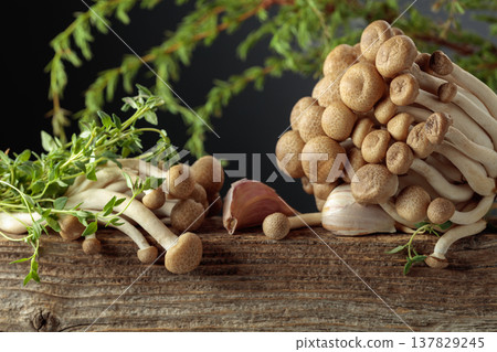 Fresh shimeji mushrooms with thyme and garlic. Fresh shimeji mushrooms with thyme and garlic. 137829245