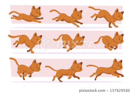 Cat. Running active cat in different poses exact vector dynamic illustrations Cat. Running active cat in different poses exact vector dynamic illustrations 137829580