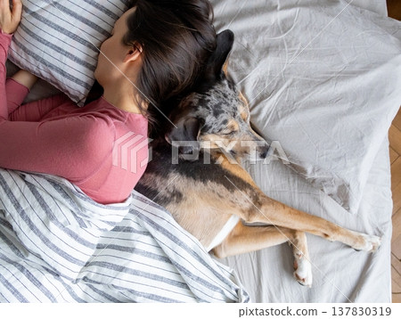 top view of sleeping woman and dog in bed. girl and pet sleep comfortably together and cuddle. top view of sleeping woman and dog in bed. girl and pet sleep comfortably together and cuddle. 137830319
