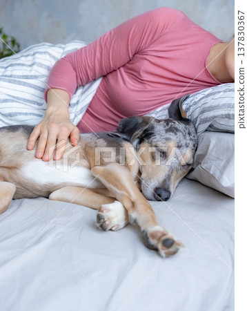 young woman sleeps with spotted dog on bed, girl and dog sleep comfortably together. young woman sleeps with spotted dog on bed, girl and dog sleep comfortably together. 137830367