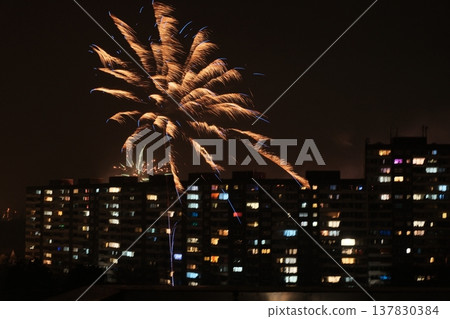 colorful fireworks at night 137830384