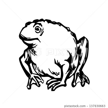 Vector drawing. Big fat frog Vector drawing. Big fat frog 137830663