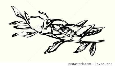 Vector drawing. Big garden locust Vector drawing. Big garden locust 137830668