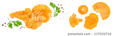 Chanterelle mushroom isolated on a white background. Top view. Flat lay Chanterelle mushroom isolated on a white background. Top view. Flat lay 137830728