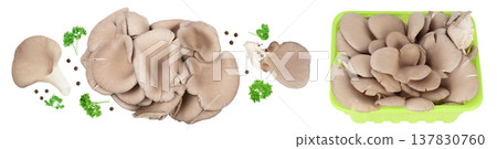 Oyster mushrooms isolated on white background with full depth of field 137830760