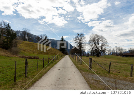 Straight farm road leading through meadow toward trees and mountains in Bavaria Germany Straight farm road leading through meadow toward trees and mountains in Bavaria Germany 137831056