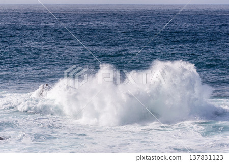 The Pacific Coast 137831123