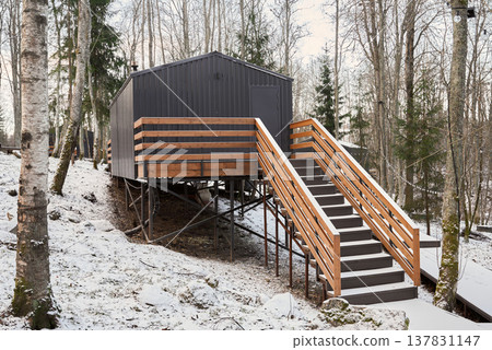 Snowcovered steps rise towards inviting cabin entrance amidst trees Snowcovered steps rise towards inviting cabin entrance amidst trees 137831147