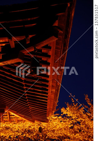 Nighttime cherry blossom illumination and temple architecture at Mii-dera Temple (Otsu City, Shiga Prefecture) Nighttime cherry blossom illumination and temple architecture at Mii-dera Temple (Otsu City, Shiga Prefecture) 137831517