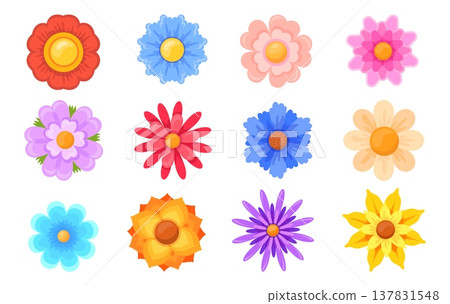 Abstract flowers top view. Spring flower geometric colorful petals floral isolated icon, cute blossom garden wildflowers different buds bouquet decoration, neat vector illustration 137831548