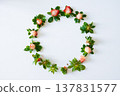 Creative strawberry leaf circle on white background 137831577