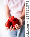 Child holding fresh strawberries close up with white background 137831578