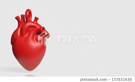 Realistic Red Human Heart Anatomy Medical 3D Model Realistic Red Human Heart Anatomy Medical 3D Model 137831630