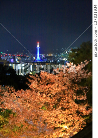 京都,二年坂,三年坂,清水寺夜櫻景色 京都,二年坂,三年坂,清水寺夜櫻景色 137831934