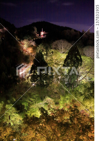 Kyoto, Ninenzaka, Sannenzaka, Nighttime cherry blossom scenery at Kiyomizu-dera Temple 137831935
