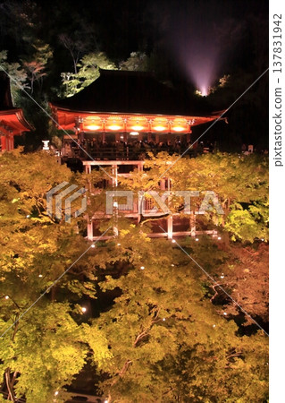 Kyoto, Ninenzaka, Sannenzaka, Nighttime cherry blossom scenery at Kiyomizu-dera Temple Kyoto, Ninenzaka, Sannenzaka, Nighttime cherry blossom scenery at Kiyomizu-dera Temple 137831942