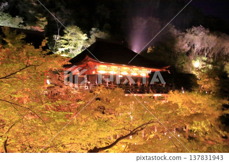京都，二年坂，三年坂，清水寺夜櫻景色 137831943