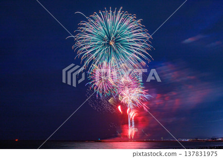 盛開在夏日夜空的大朵花朵 137831975