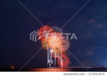 Colorful starbursts blooming in the night sky Colorful starbursts blooming in the night sky 137831979