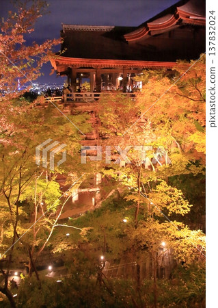 京都,二年坂,三年坂,清水寺夜櫻景色 京都,二年坂,三年坂,清水寺夜櫻景色 137832024