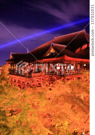 京都,二年坂,三年坂,清水寺夜櫻景色 京都,二年坂,三年坂,清水寺夜櫻景色 137832031