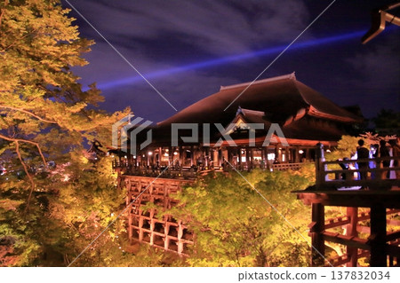 京都,二年坂,三年坂,清水寺夜櫻景色 京都,二年坂,三年坂,清水寺夜櫻景色 137832034