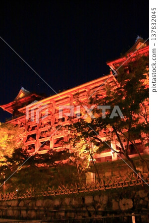 京都,二年坂,三年坂,清水寺夜櫻景色 京都,二年坂,三年坂,清水寺夜櫻景色 137832045