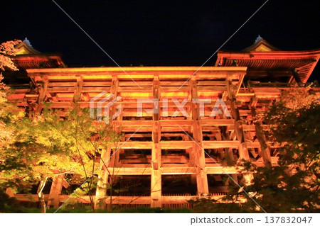 京都，二年坂，三年坂，清水寺夜櫻景色 137832047