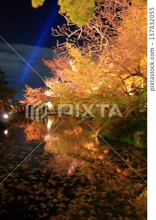 京都,二年坂,三年坂,清水寺夜櫻景色 京都,二年坂,三年坂,清水寺夜櫻景色 137832055