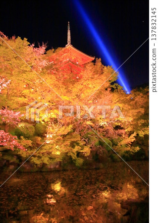 京都,二年坂,三年坂,清水寺夜櫻景色 京都,二年坂,三年坂,清水寺夜櫻景色 137832145