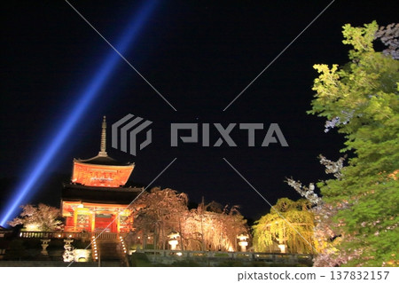 京都,二年坂,三年坂,清水寺夜櫻景色 京都,二年坂,三年坂,清水寺夜櫻景色 137832157
