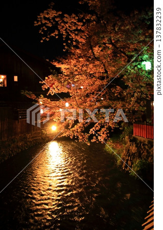 Nighttime cherry blossom scenery at Tatsumi Bridge in Gion Shirakawa, Kyoto. Nighttime cherry blossom scenery at Tatsumi Bridge in Gion Shirakawa, Kyoto. 137832239