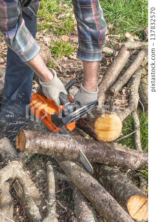 Chainsaw chopping wood 137832570