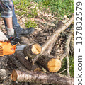 Chainsaw chopping wood 137832579