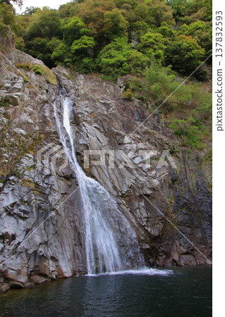 神戶:布引瀑布與布引香草園 神戶:布引瀑布與布引香草園 137832593