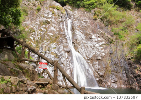 神戶:布引瀑布與布引香草園 神戶:布引瀑布與布引香草園 137832597