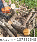 Chainsaw chopping wood 137832648