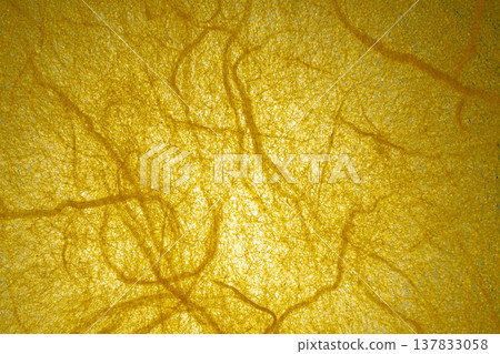 Close-up background with yellow fiber pattern Close-up background with yellow fiber pattern 137833058