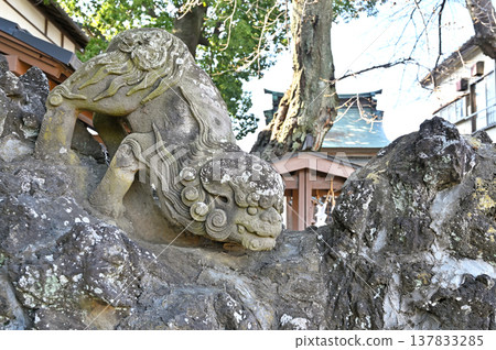 A walk around Iwatsuki: Iwatsuki Yakumo Shrine A walk around Iwatsuki: Iwatsuki Yakumo Shrine 137833285