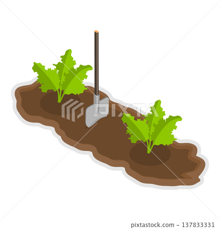 3D Isometric Flat Vector Illustration of Home Garden, Gardening Tools For Soil Preparation And Planting By People. Item 3 137833331