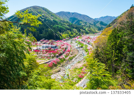 阿智村、花桃村 137833405