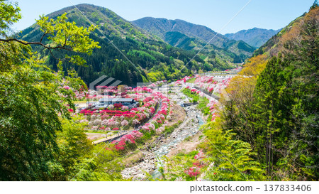 阿智村、花桃村 137833406