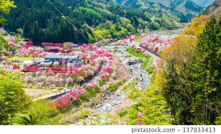 Achi Village, Hanamomo Village 137833413