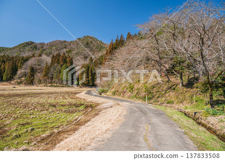 Rural scenery of Nishiasaimachi, Lake Biwa, Nagahama City, Shiga Prefecture 137833508
